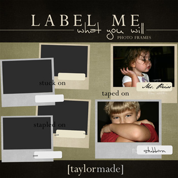 Label Me What You Will Frames