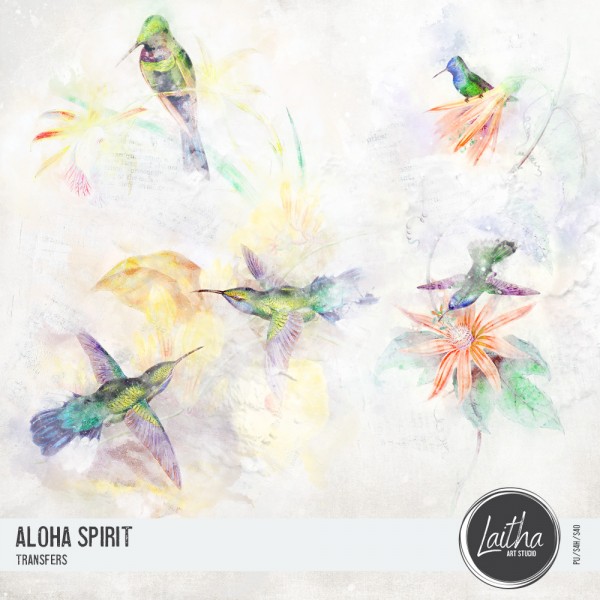 Aloha Spirit - Transfers