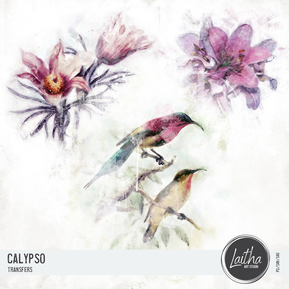 Calypso - Transfers