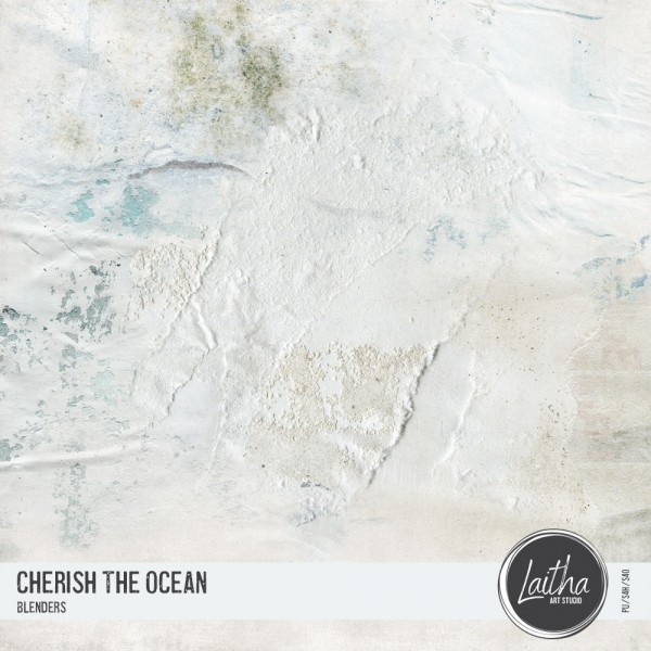 Cherish The Ocean - Blenders