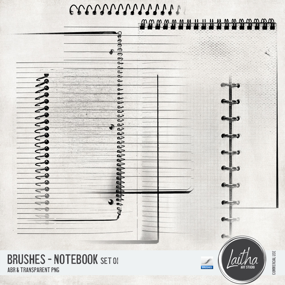 Notebooks Brushes & Stamps Vol. 01