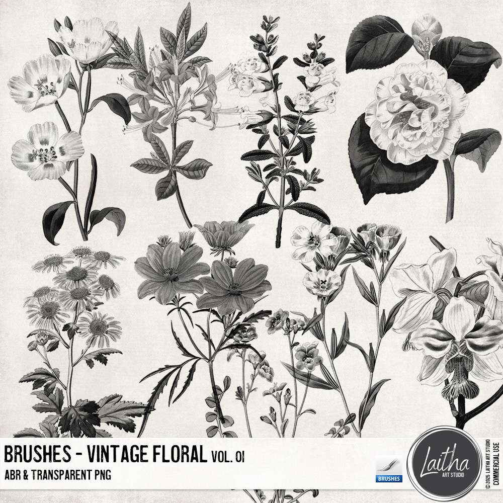 Vintage Floral Brushes & Stamps Vol. 01