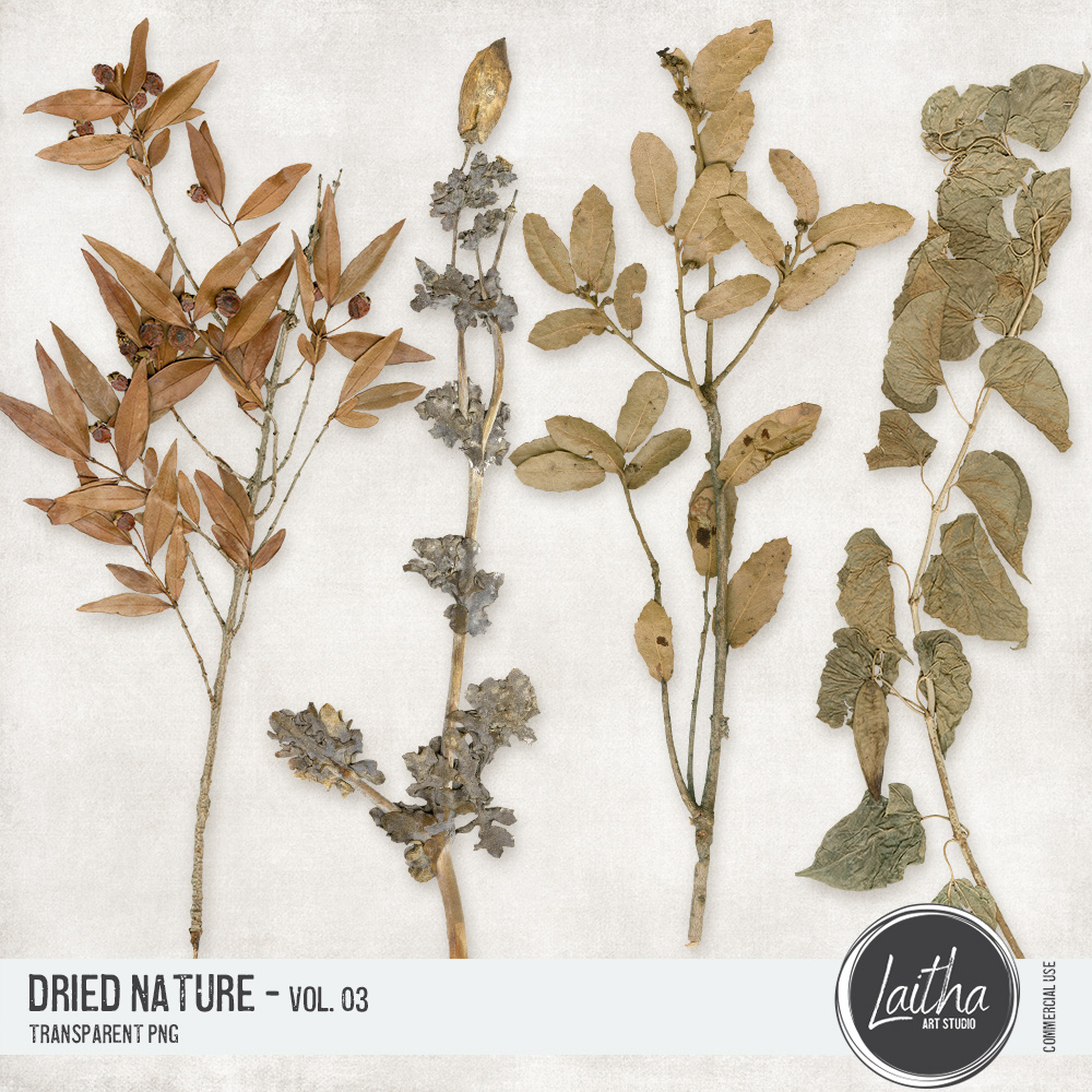 Dried Nature Vol. 03