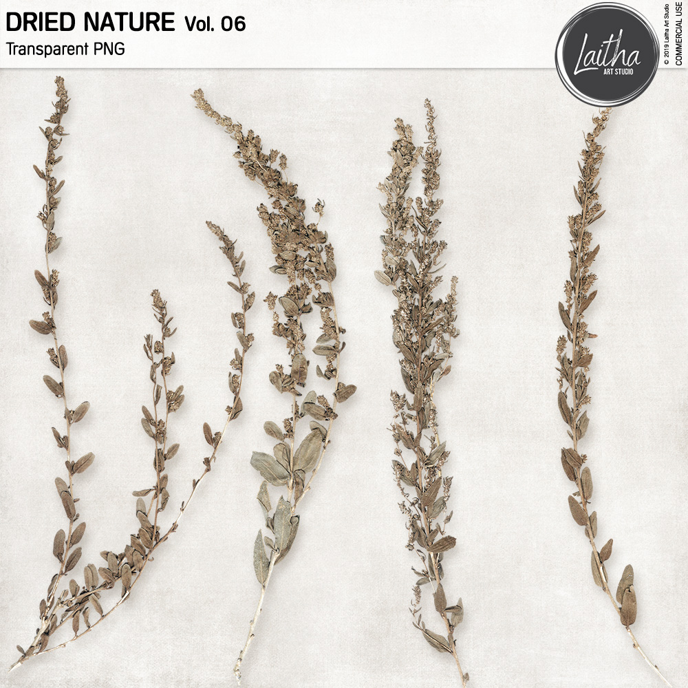 Dried Nature Vol. 06