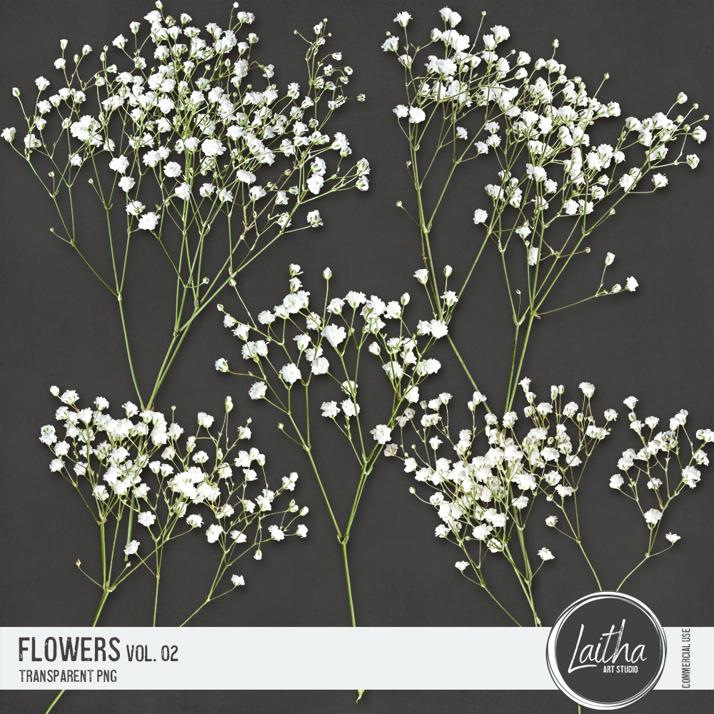 Flowers Vol. 02