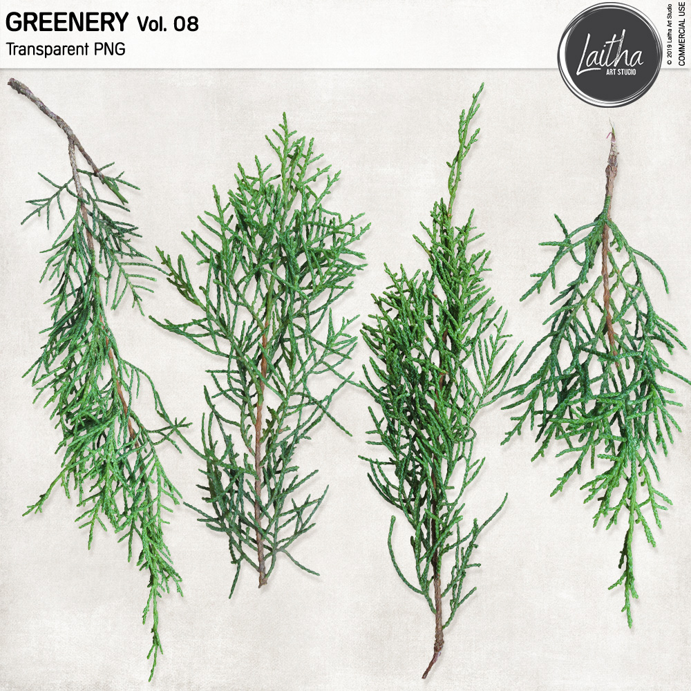 Greenery Vol. 08