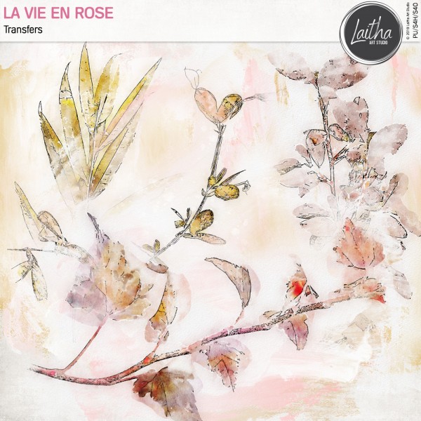 La Vie En Rose - Transfers