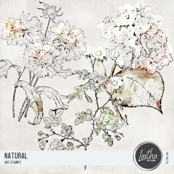 Natural - Art Stamps