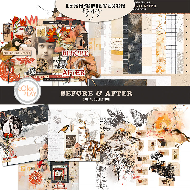 Before and After Collection by Lynn Grieveson