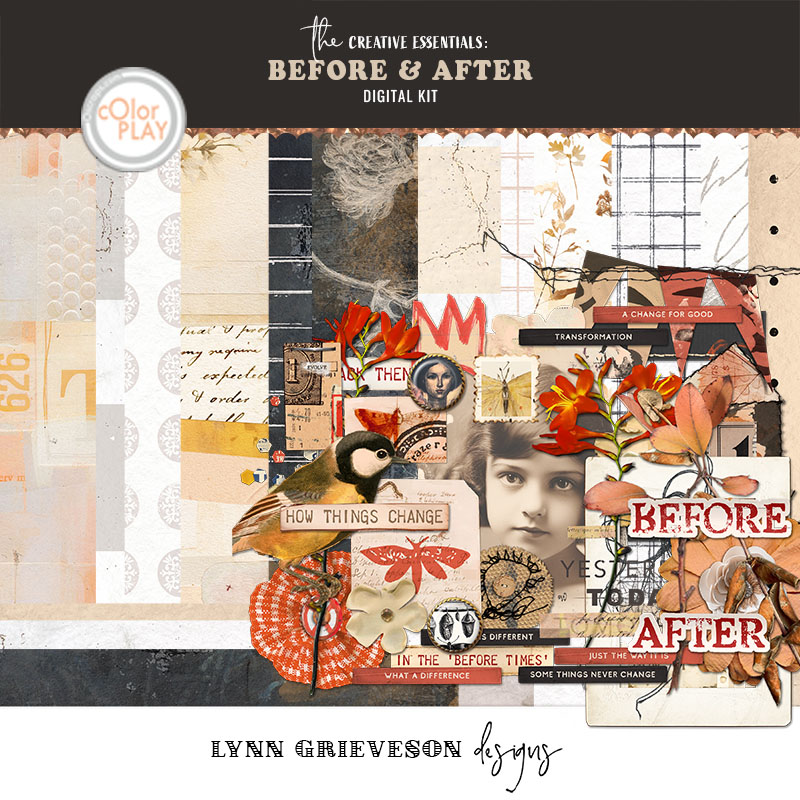 Before and After Kit by Lynn Grieveson