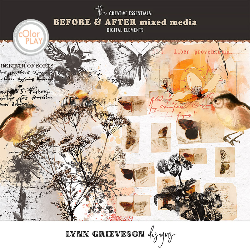 Before and After Mixed Media by Lynn Grieveson