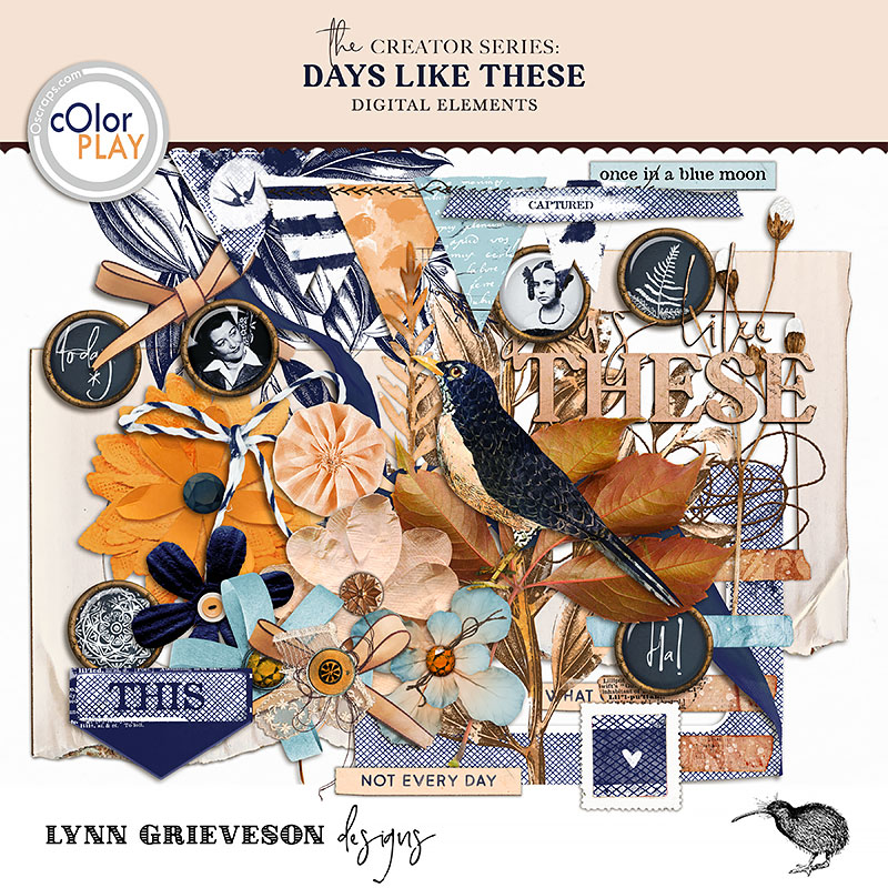 Days Like These Digital Scrapbooking Elements