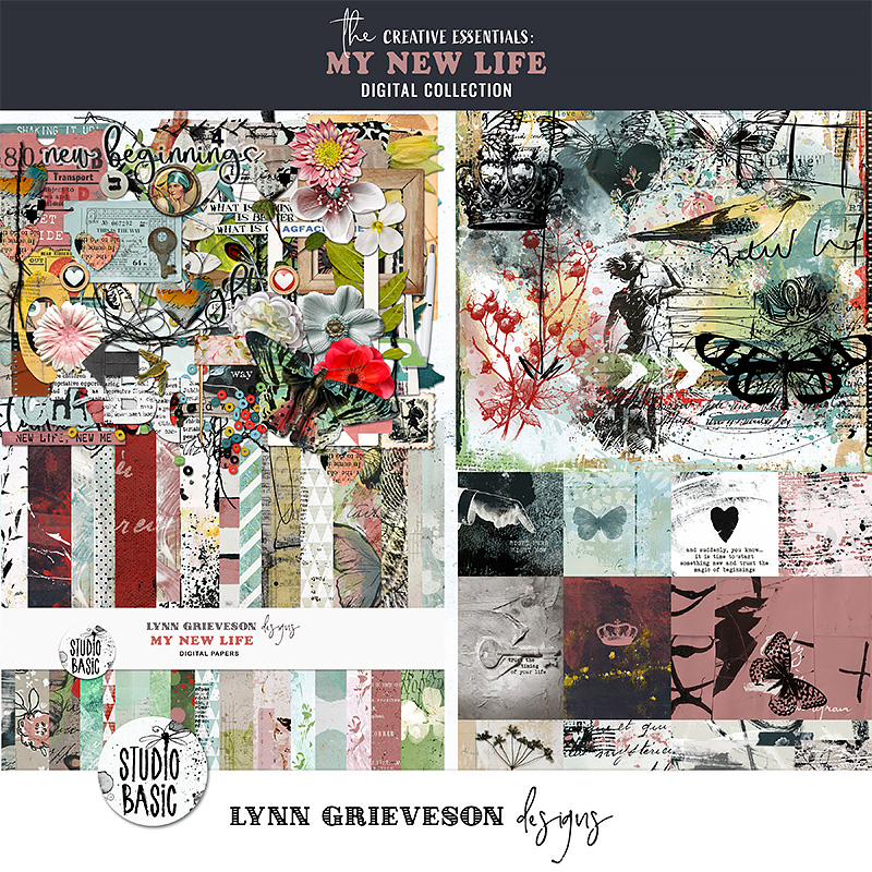 My New Life Collection by Lynn Grieveson and Studio Basic
