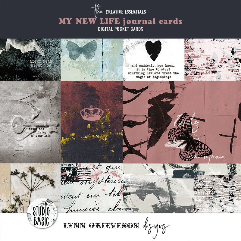 My New Life Journal Cards by Lynn Grieveson and Studio Basic