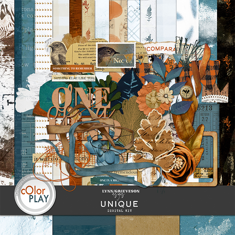 Unique Digital Scrapbooking Kit by Lynn Grieveson