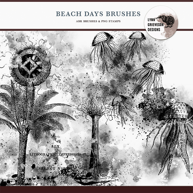 Beach Days Digital Scrapbooking Brushes and Stamps