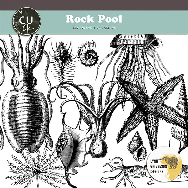 Rock Pool CU brushes and stamps for digital scrapbooking