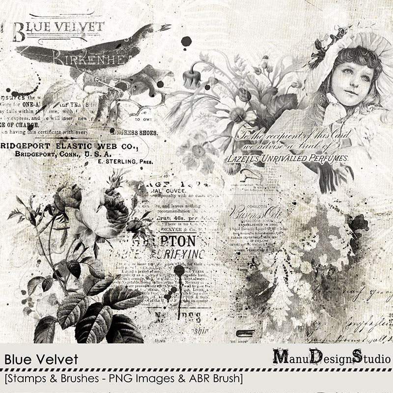 Blue Velvet - Stamps