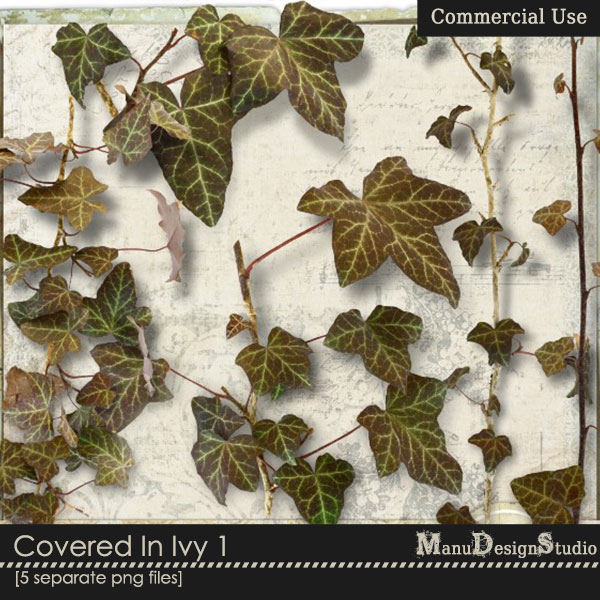 Covered In Ivy 1 - CU