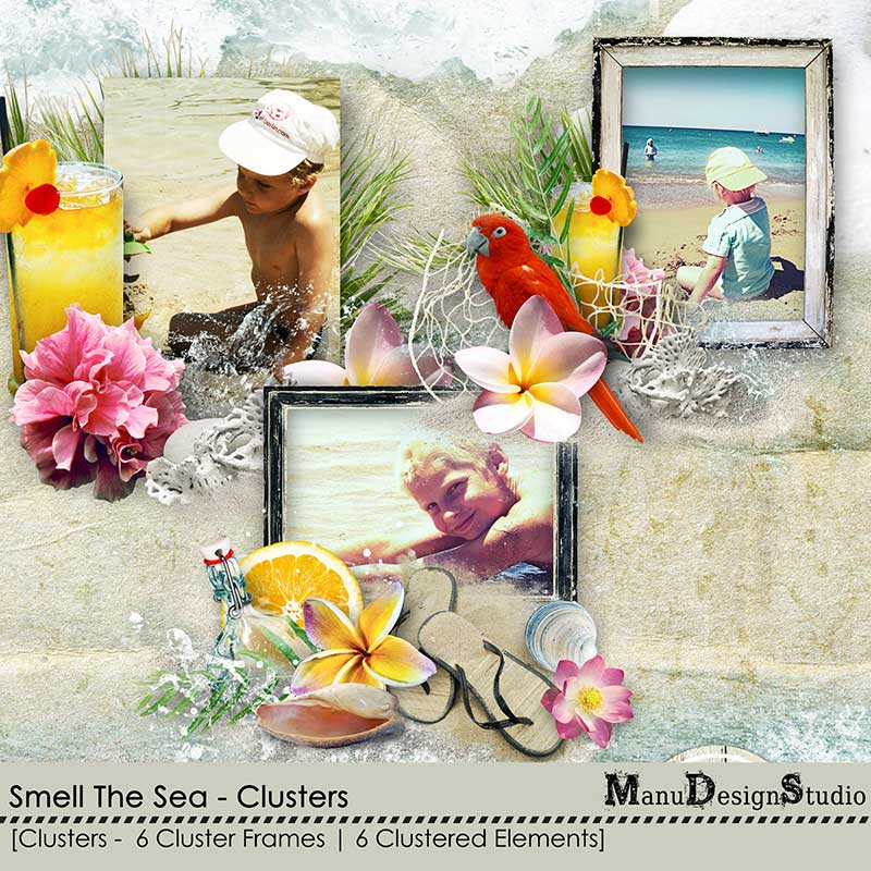 Smell The Sea - Clusters