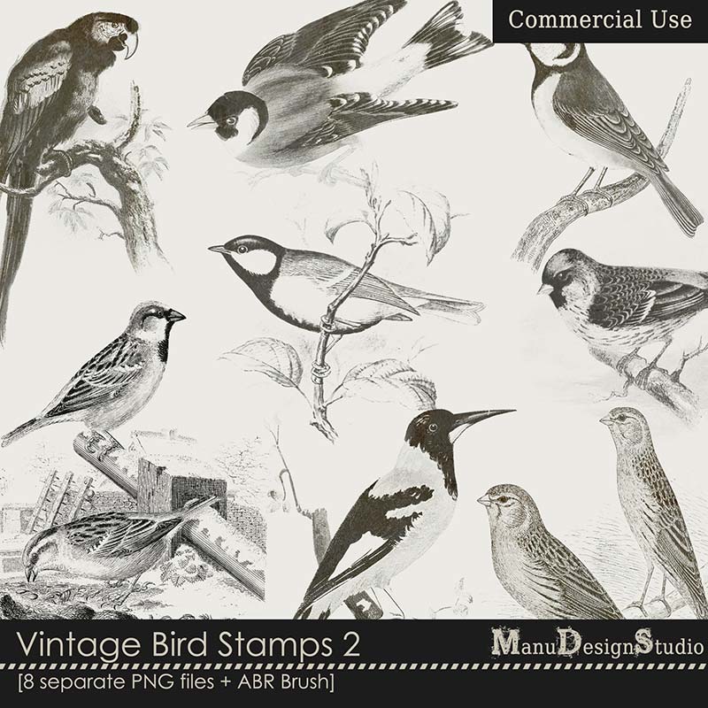 Vintage Bird Stamps 2 - CU