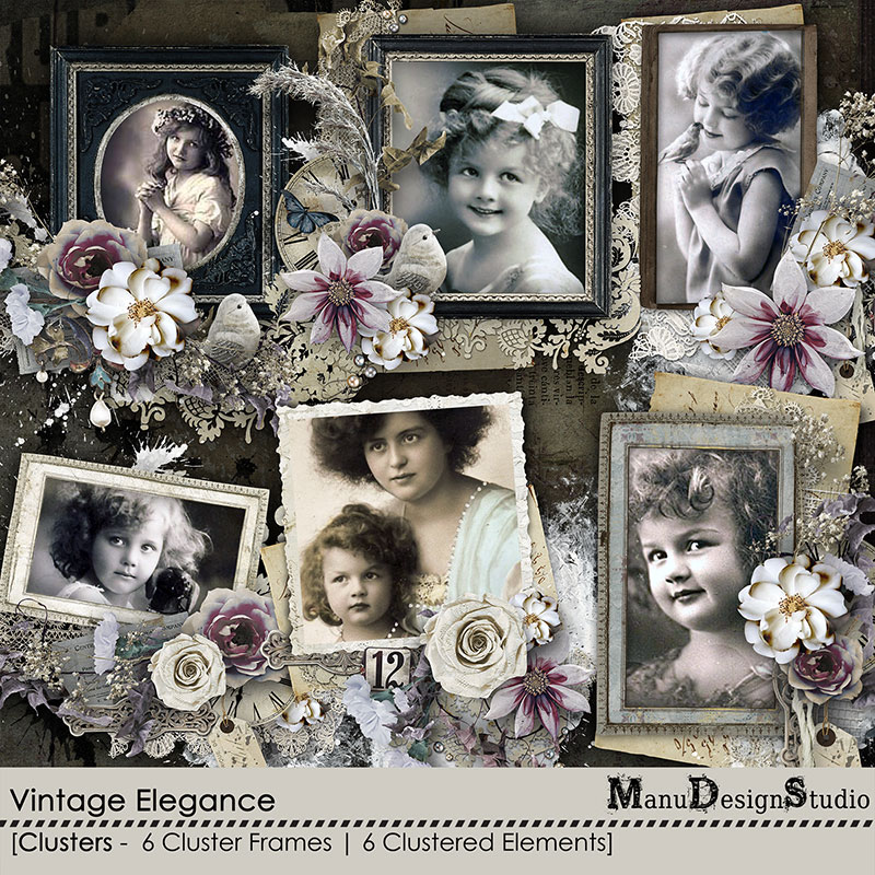 Vintage Elegance Clusters