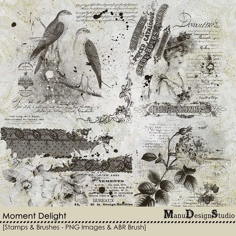 Moment Delight - Stamps and Brushes