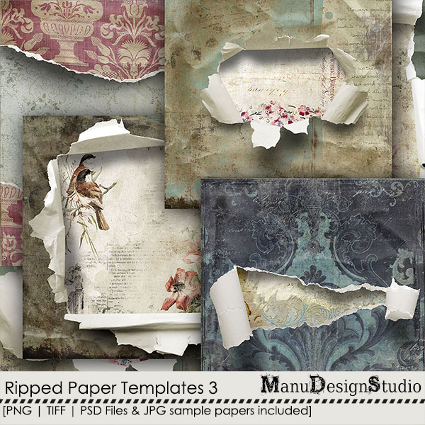 Ripped Paper Templates  3