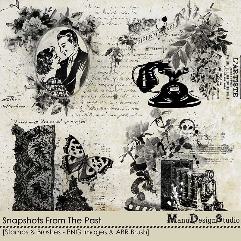 Snapshots From The Past - Stamps & Brushes