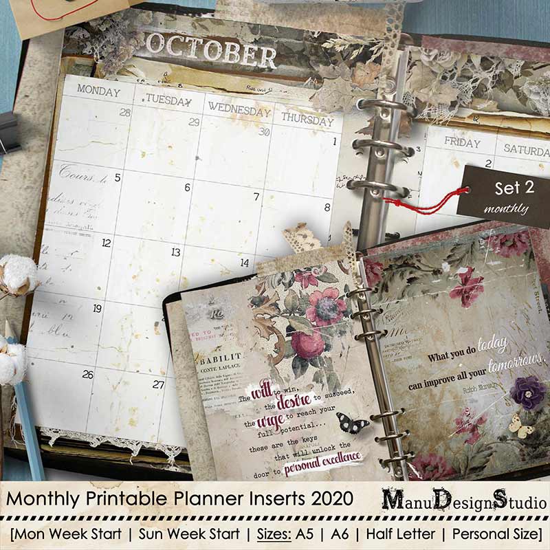 Set 2 - 2020 Monthly Printable Planner Inserts