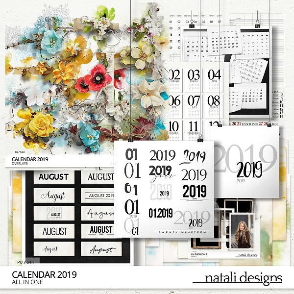 2019 Calendar All in One