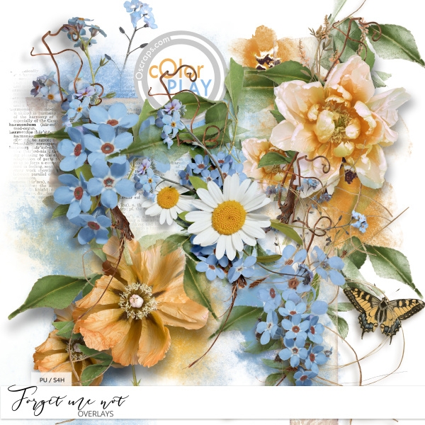 Forget me not Overlays