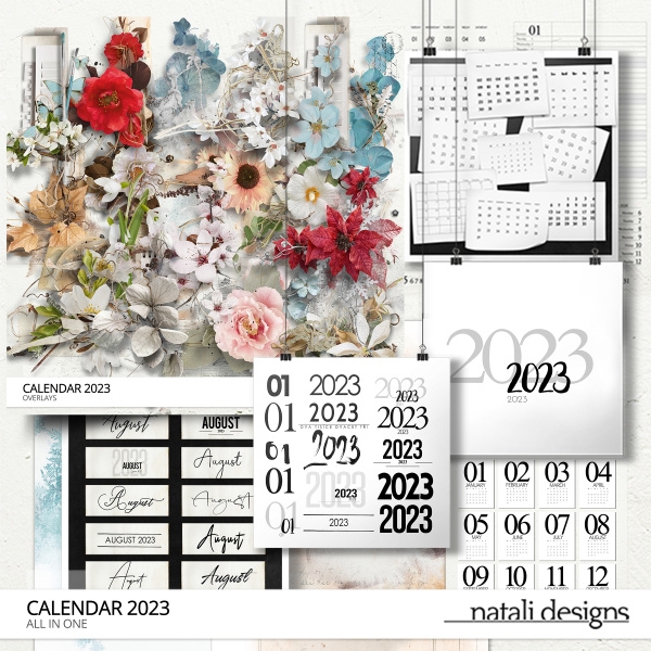 2024 Calendar All in One