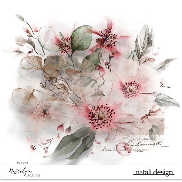 Nostalgia Brushes