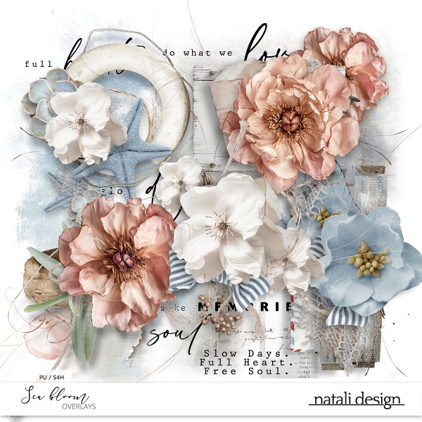 SeaBloom Overlays