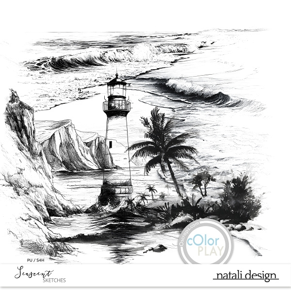 SeaScent Sketches SeaScent Sketches