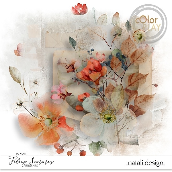 Fading Summer Brushes Fading Summer Brushes