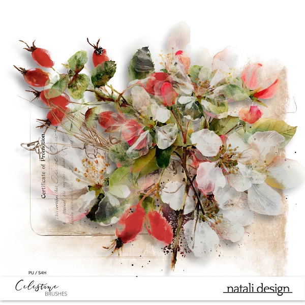 Celestine Brushes Celestine Brushes