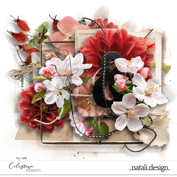 Celestine Elements Celestine Elements