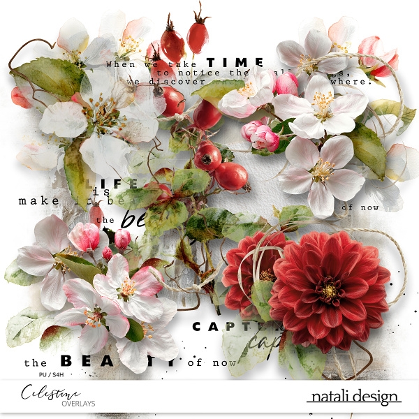Celestine Overlays Celestine Overlays