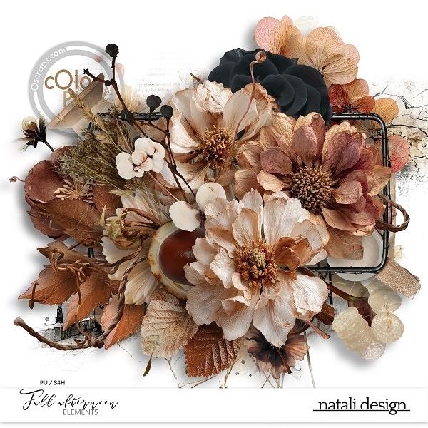 Fall afternoon Elements