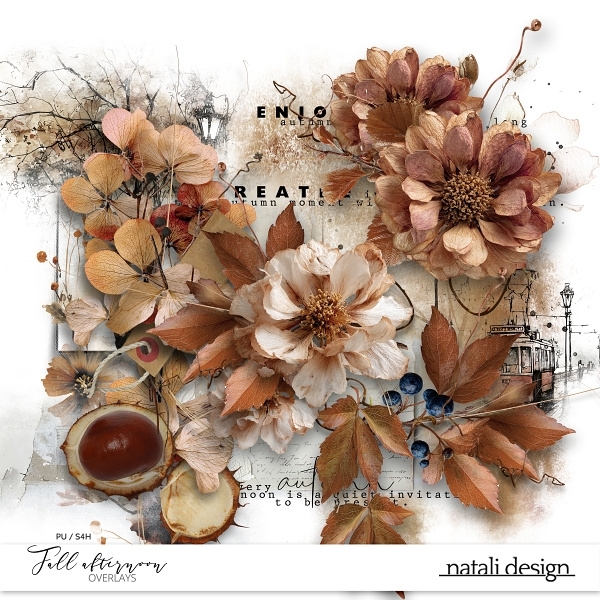 Fall afternoon Overlays