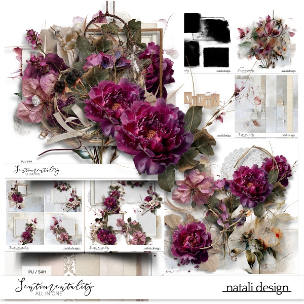 Sentimentality All in One