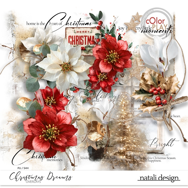 Christmas Dreams Overlays