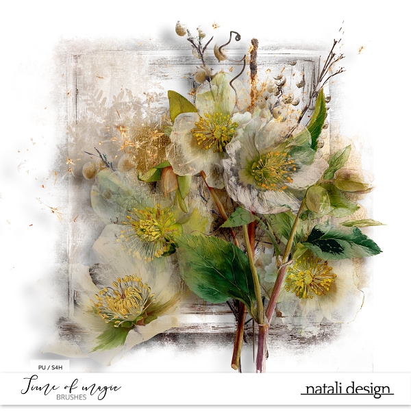 Time of magic brushes