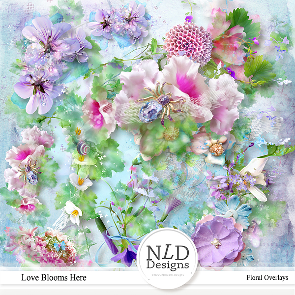 Love Blooms Here Floral Overlays