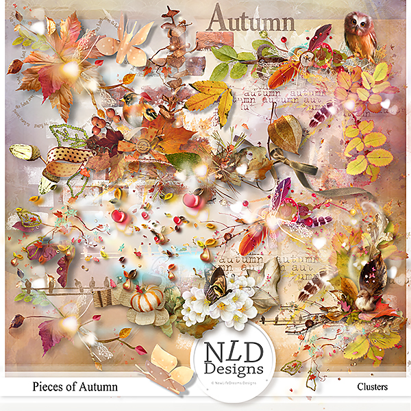 Pieces Of Autumn Clusters By NLD Designs