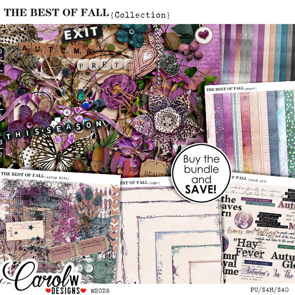 THE BEST OF FALL-Collection