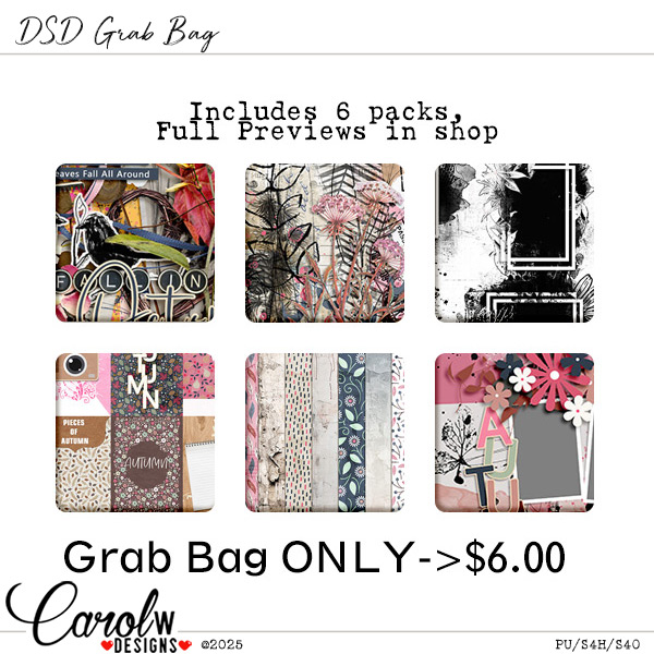 2025 DSD Grab Bag-CarolW Designs