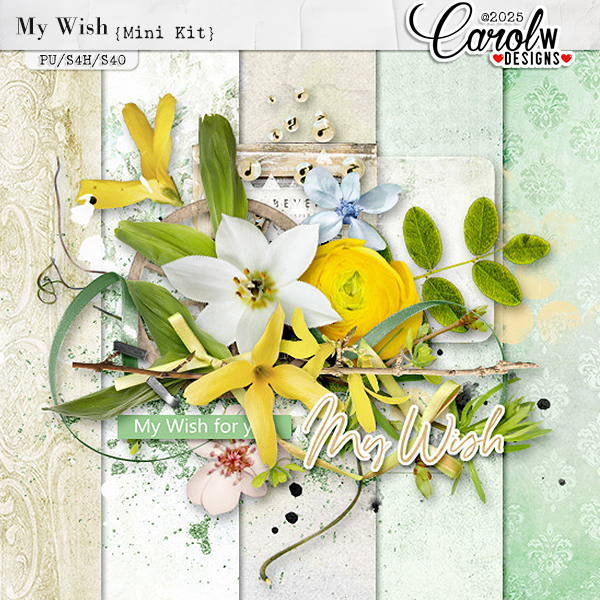 My Wish-Mini Kit